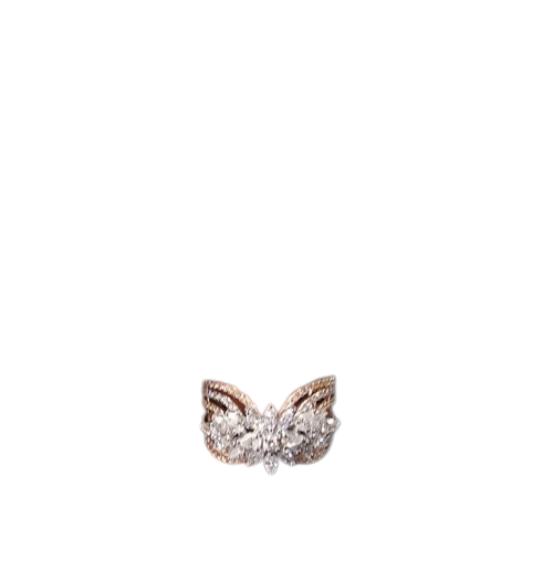 icon-img